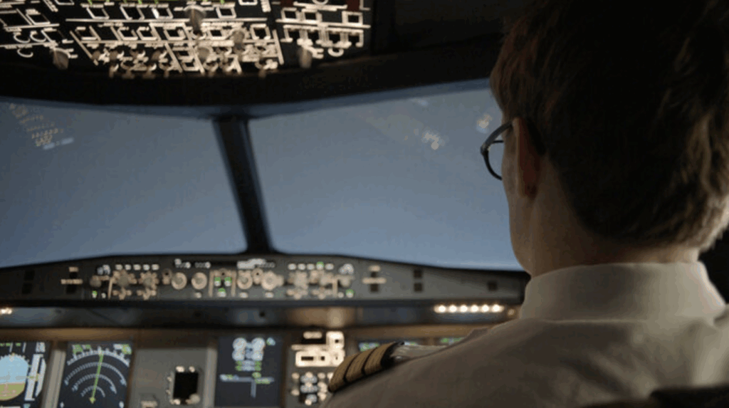 Documentation of the cockpit